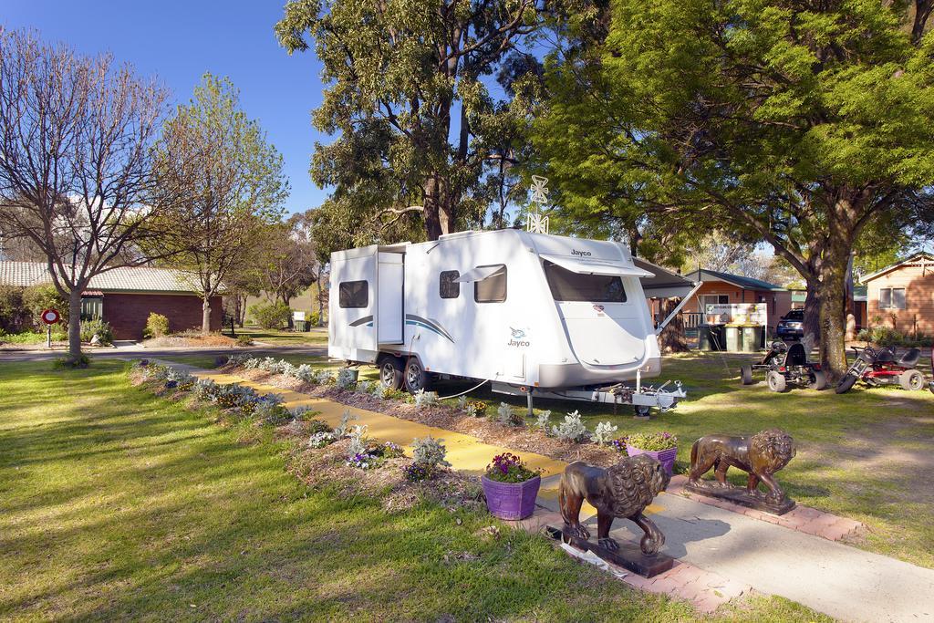 Hotel Armidale Tourist Park Exterior foto